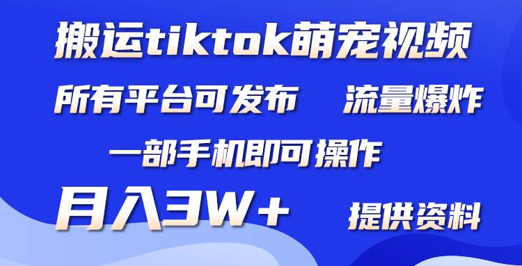 搬运Tiktok萌宠类视频，一部手机即可。所有短视频平台均可操作，月入3W+-廉价云资源网