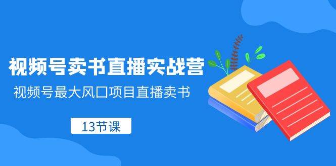 视频号-卖书直播实战营，视频号最大风囗项目直播卖书（13节课）-廉价云资源网