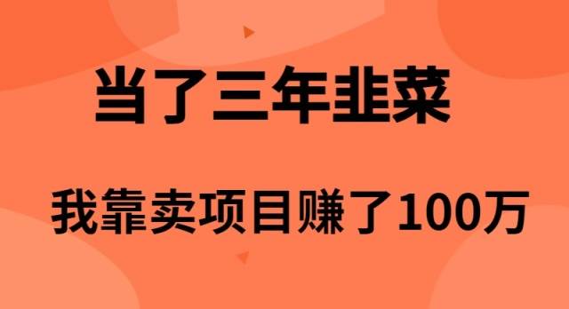 当了3年韭菜，我靠卖项目赚了100万-廉价云资源网