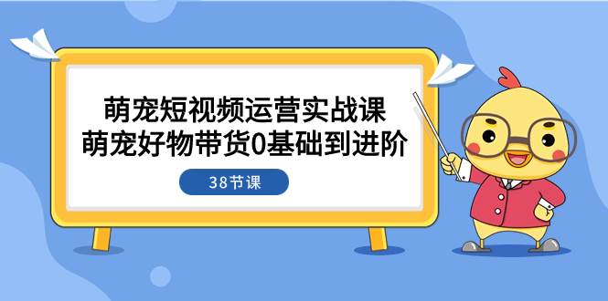 萌宠·短视频运营实战课：萌宠好物带货0基础到进阶（38节课）-廉价云资源网