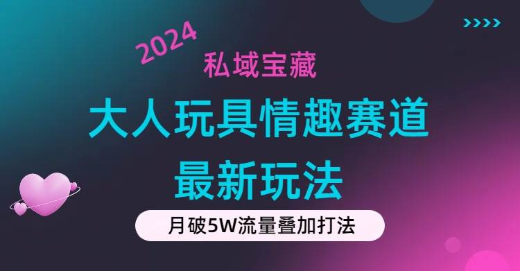 私域宝藏：大人玩具情趣赛道合规新玩法，零投入，私域超高流量成单率高-廉价云资源网
