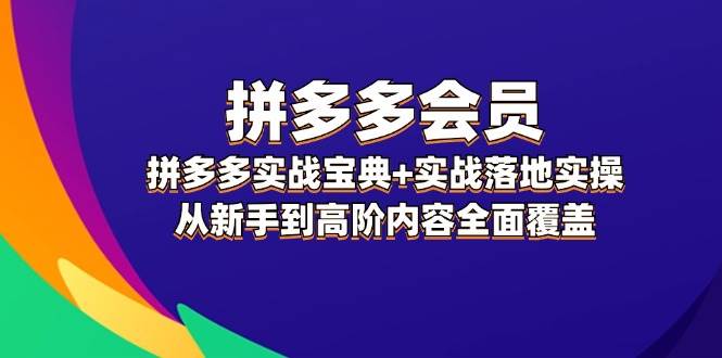 拼多多 会员，拼多多实战宝典+实战落地实操，从新手到高阶内容全面覆盖-廉价云资源网