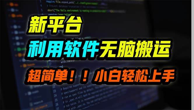 新平台用软件无脑搬运，月赚10000+，小白也能轻松上手-廉价云资源网