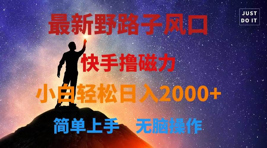 最新风口！快手撸磁力，野路子，小白无脑操作日入2000+-廉价云资源网