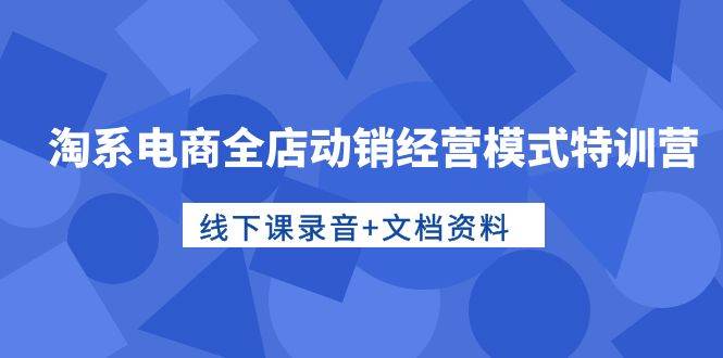 淘系电商全店动销经营模式特训营，线下课录音+文档资料-廉价云资源网