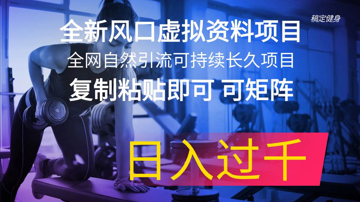 全新风口虚拟资料项目 全网自然引流可持续长久项目 复制粘贴即可可矩阵…-廉价云资源网