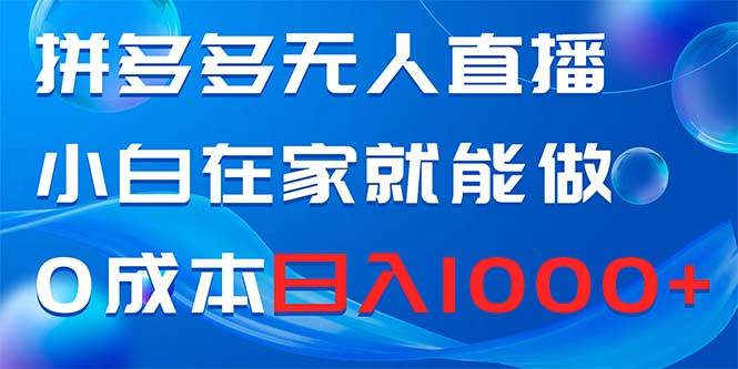 拼多多无人直播，小白在家就能做，0成本日入1000+-廉价云资源网