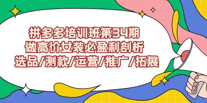 拼多多培训班第34期：做高价女装必盈利剖析  选品/测款/运营/推广/拓展-廉价云资源网