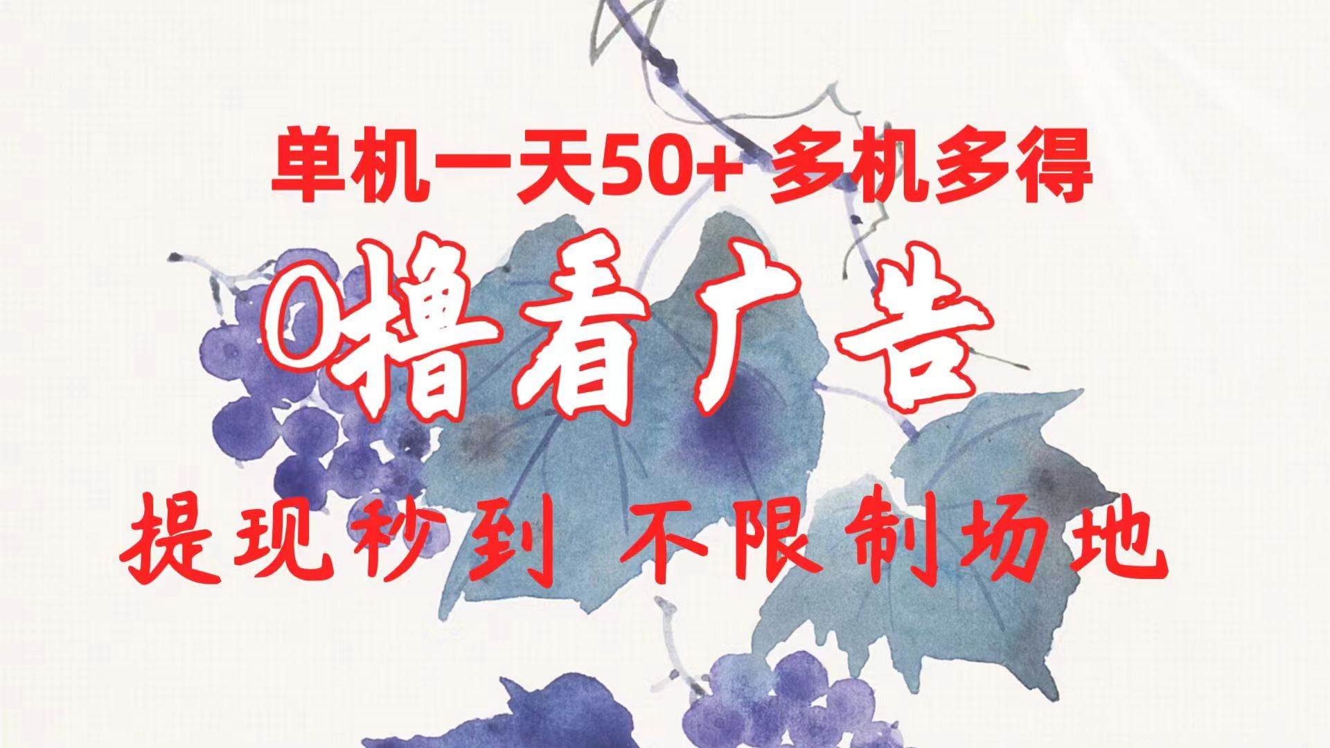 0撸看广告 单机一天50+多机多得 提现秒到 不限制场地操作-廉价云资源网