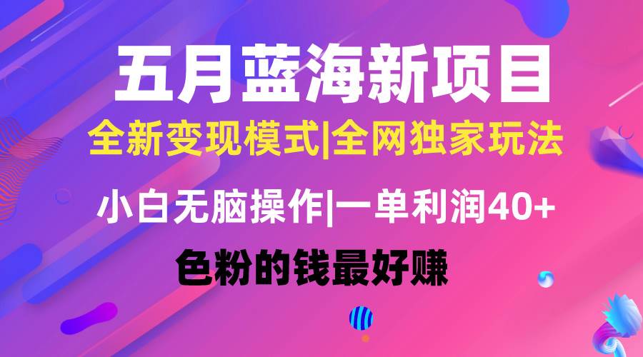 五月蓝海项目全新玩法，小白无脑操作，一天几分钟，矩阵操作，月入4万+-廉价云资源网