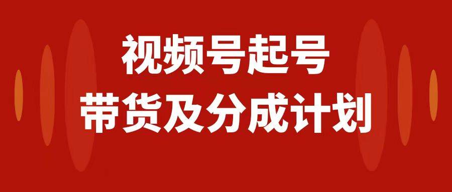 视频号快速起号，分成计划及带货，0-1起盘、运营、变现玩法，日入1000+-廉价云资源网