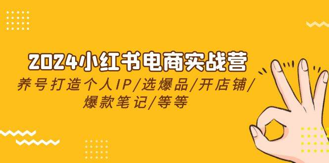 2024小红书电商实战营，养号打造IP/选爆品/开店铺/爆款笔记/等等（24节）-廉价云资源网