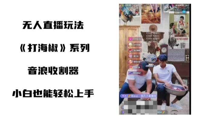 打海椒无人直播整蛊项目，小白轻松上手撸音浪收割器（教程+工具+素材）-廉价云资源网