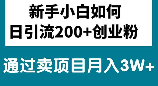 新手小白日引流200+创业粉,通过卖项目月入3W+-廉价云资源网