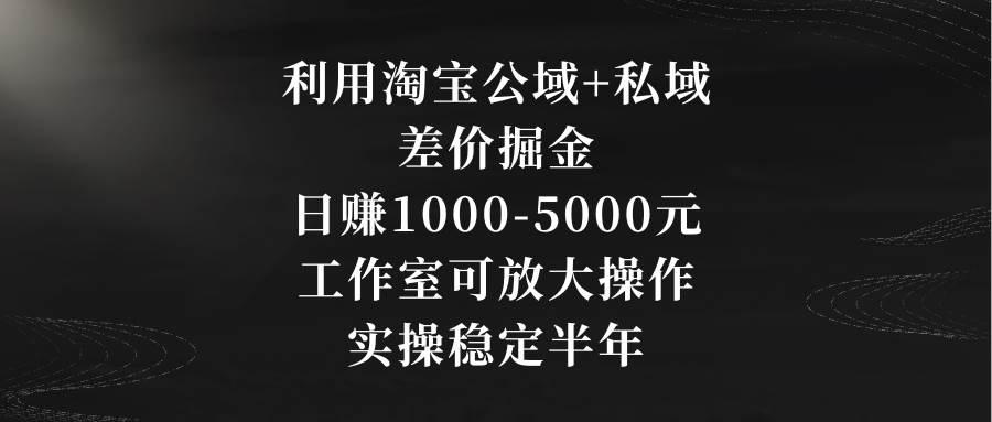 利用淘宝公域+私域差价掘金，日赚1000-5000元，工作室可放大操作，实操…-廉价云资源网
