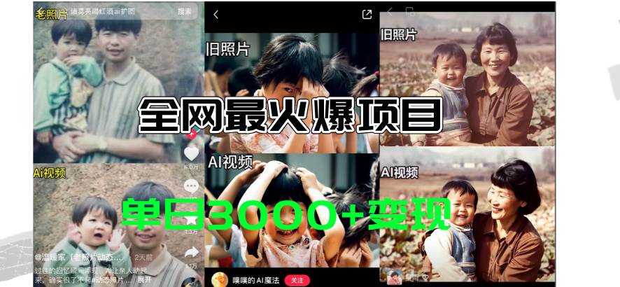 全网爆火的AI让老照片动起来教程，蹭热点日赚3000+，内含免费工具一键…-廉价云资源网