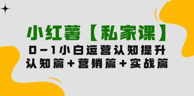 小红薯【私家课】0-1玩赚小红书内容营销，认知篇+营销篇+实战篇（11节课）-廉价云资源网