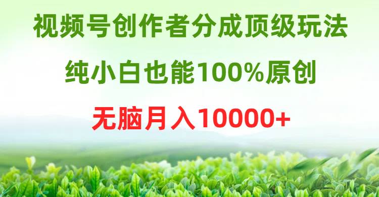 视频号创作者分成顶级玩法，纯小白也能100%原创，无脑月入10000+-廉价云资源网