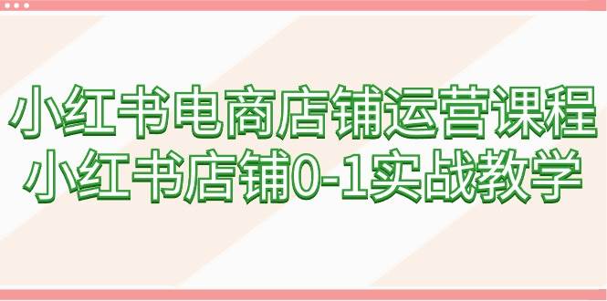 小红书电商店铺运营课程，小红书店铺0-1实战教学（60节课）-廉价云资源网