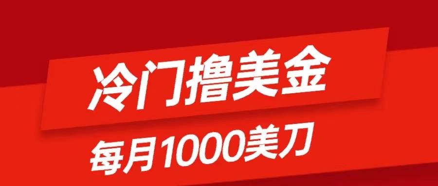 冷门撸美金项目：只需无脑发帖子，每月1000刀，小白轻松掌握-廉价云资源网