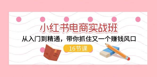 小红书电商实战班，从入门到精通，带你抓住又一个赚钱风口（16节）-廉价云资源网