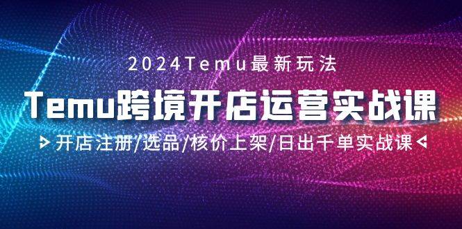 2024Temu跨境开店运营实战课，开店注册/选品/核价上架/日出千单实战课-廉价云资源网