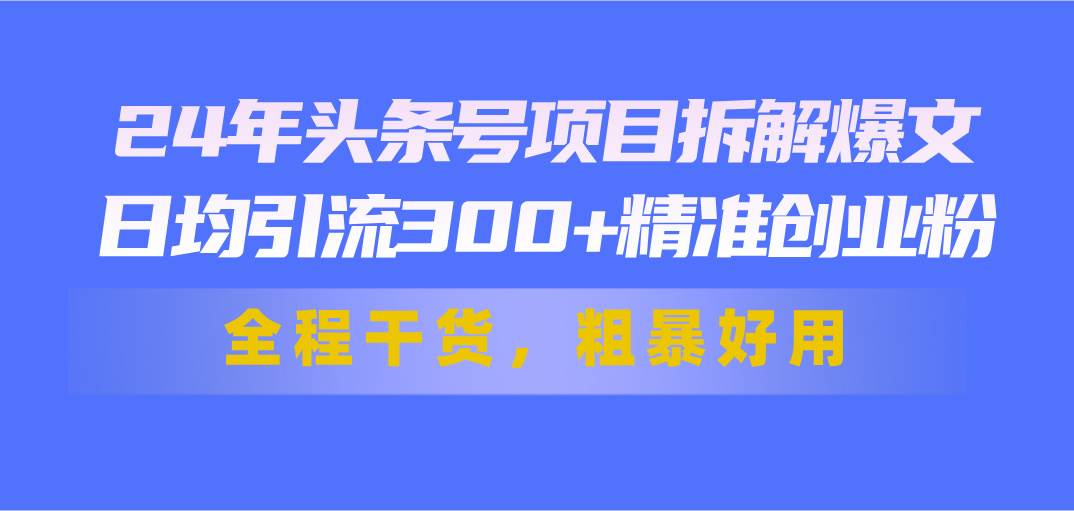 24年头条号项目拆解爆文，日均引流300+精准创业粉，全程干货，粗暴好用-廉价云资源网
