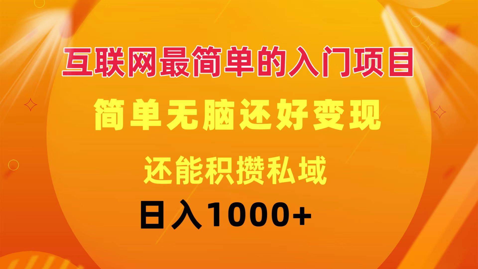 互联网最简单的入门项目：简单无脑变现还能积攒私域一天轻松1000+-廉价云资源网