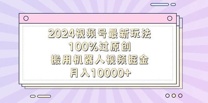 2024视频号最新玩法，100%过原创，搬用机器人视频掘金，月入10000+-廉价云资源网