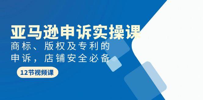 亚马逊-申诉实战课，商标、版权及专利的申诉，店铺安全必备-廉价云资源网