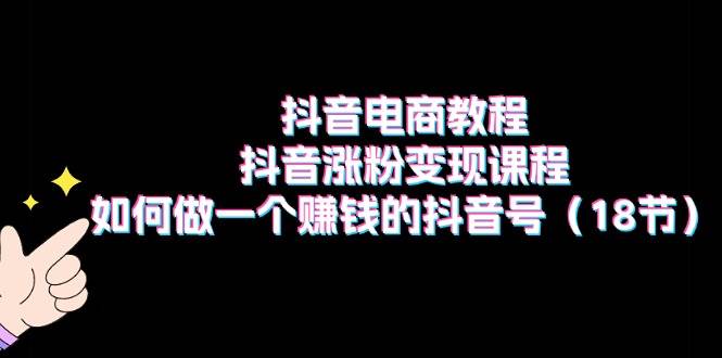 抖音电商教程：抖音涨粉变现课程：如何做一个赚钱的抖音号（18节）-廉价云资源网