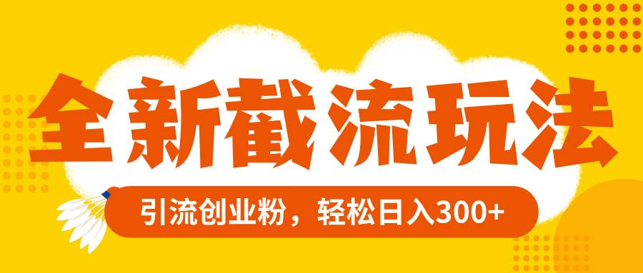 全新截流玩法，精准引流创业粉，轻松日入300+-廉价云资源网