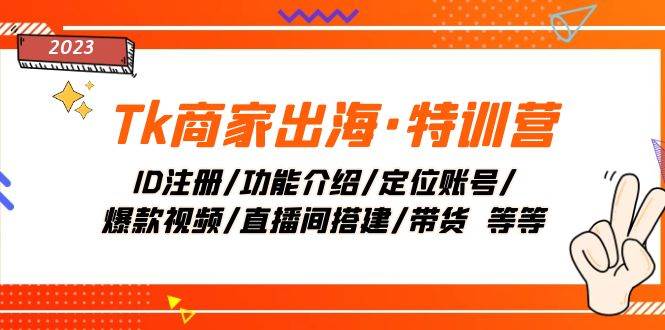 Tk商家出海·特训营：ID注册/功能介绍/定位账号/爆款视频/直播间搭建/带货-廉价云资源网
