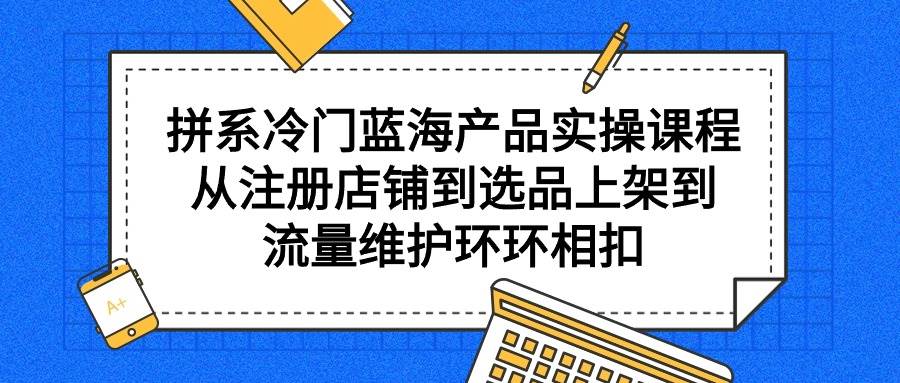 拼系冷门蓝海产品实操课程，从注册店铺到选品上架到流量维护环环相扣-廉价云资源网