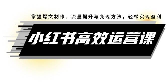 小红书高效运营课：掌握爆文制作、流量提升与变现方法，轻松实现盈利-廉价云资源网