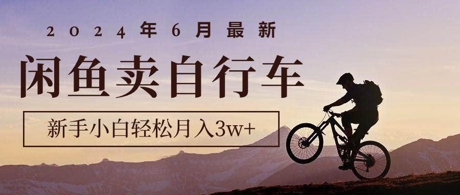 2024年6月最新闲鱼卖自行车，新手小白轻松月入3w+项目-廉价云资源网
