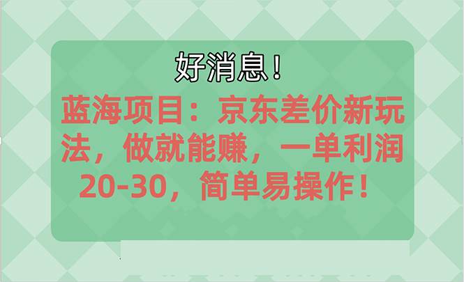 越早知道越能赚到钱的蓝海项目：京东大平台操作，一单利润20-30，简单…-廉价云资源网