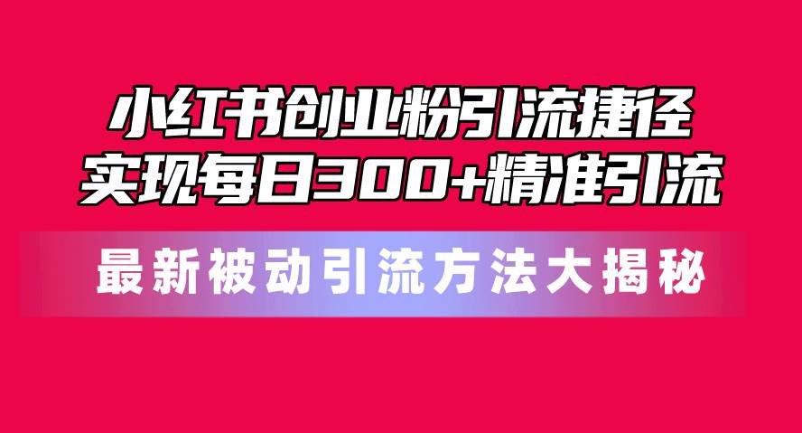 小红书创业粉引流捷径！最新被动引流方法大揭秘，实现每日300+精准引流-廉价云资源网